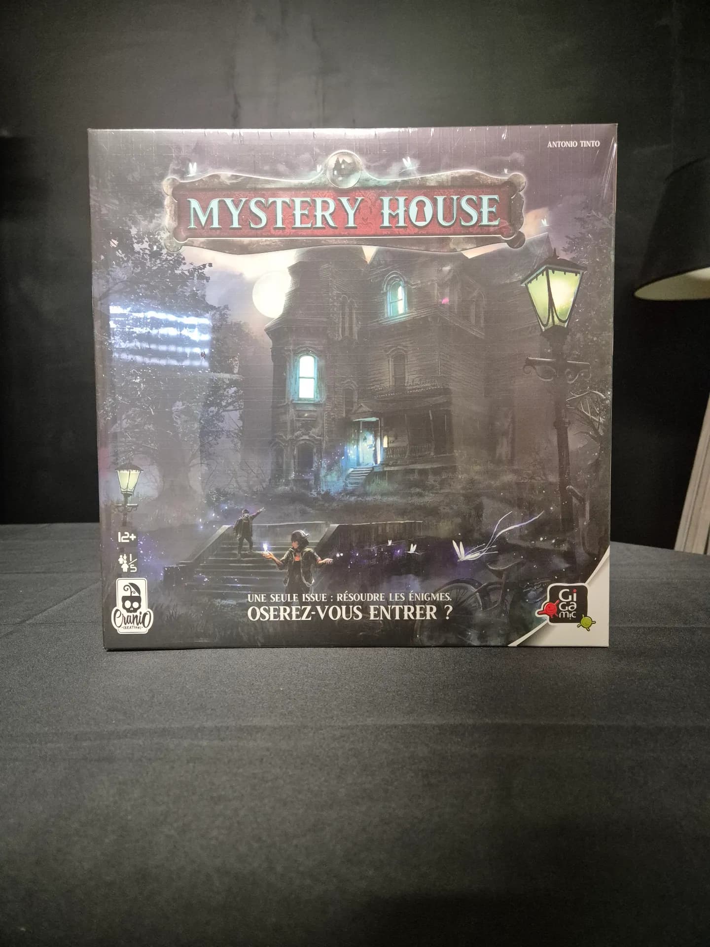Mystery House